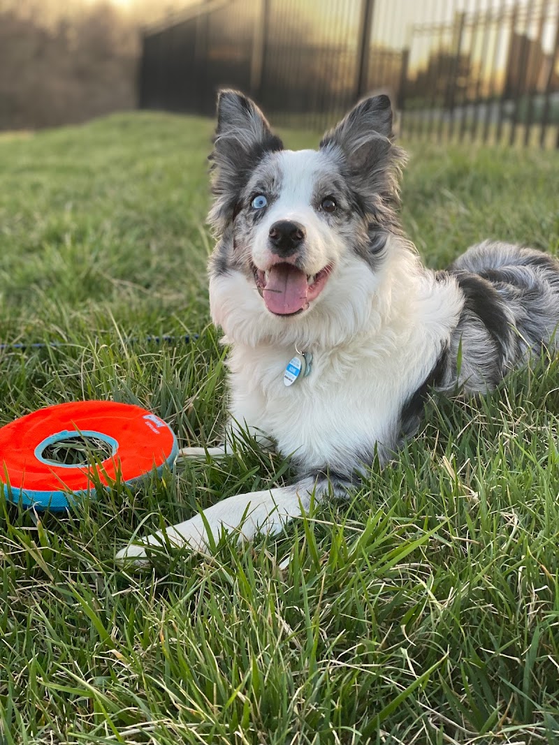 The Life of Riley cover image