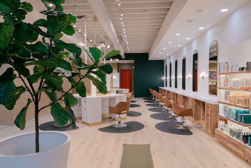 The Mae Salon & Spa cover image