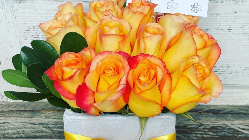 One of A Kind cover image