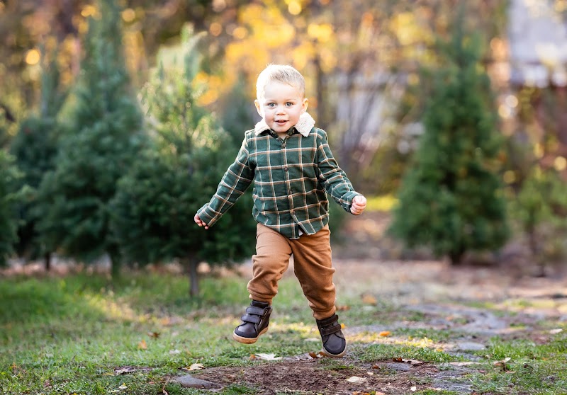 Kristina Geddert Photography cover image