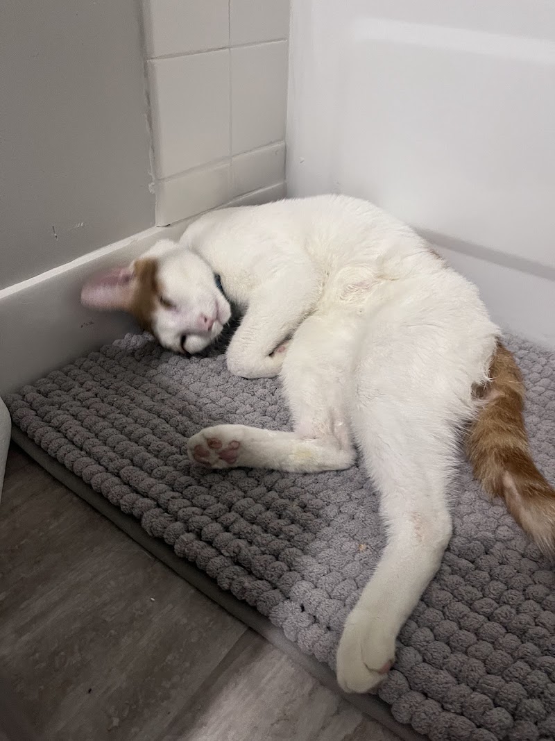 Animal Emergency & Referral Center of Minnesota (AERC) cover image