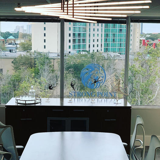 Strong Point Financial, Inc. cover image