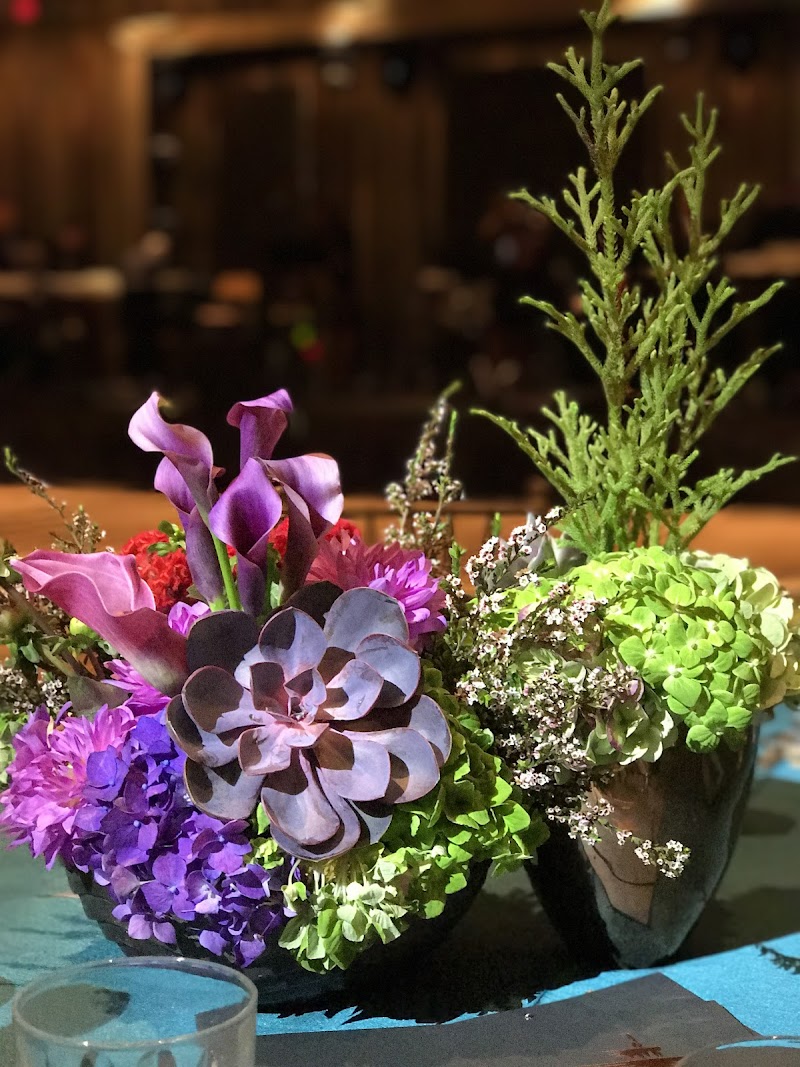 The Events Company cover image