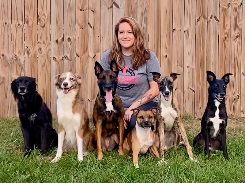 Sally Said So Dog Training Greensboro cover