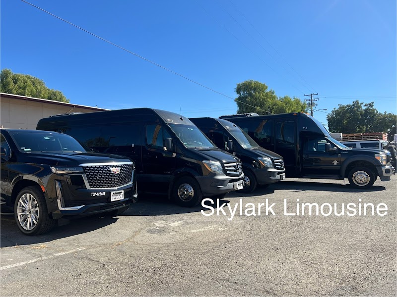 Skylark Limousine cover image