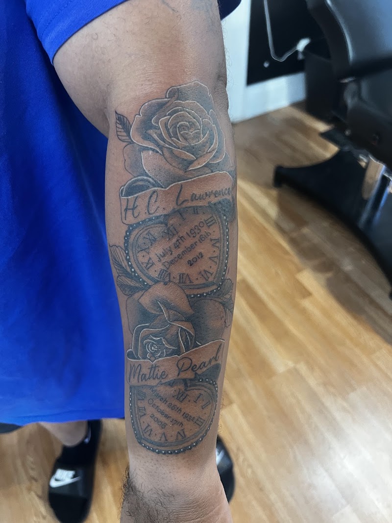 The Skin Museum cover image