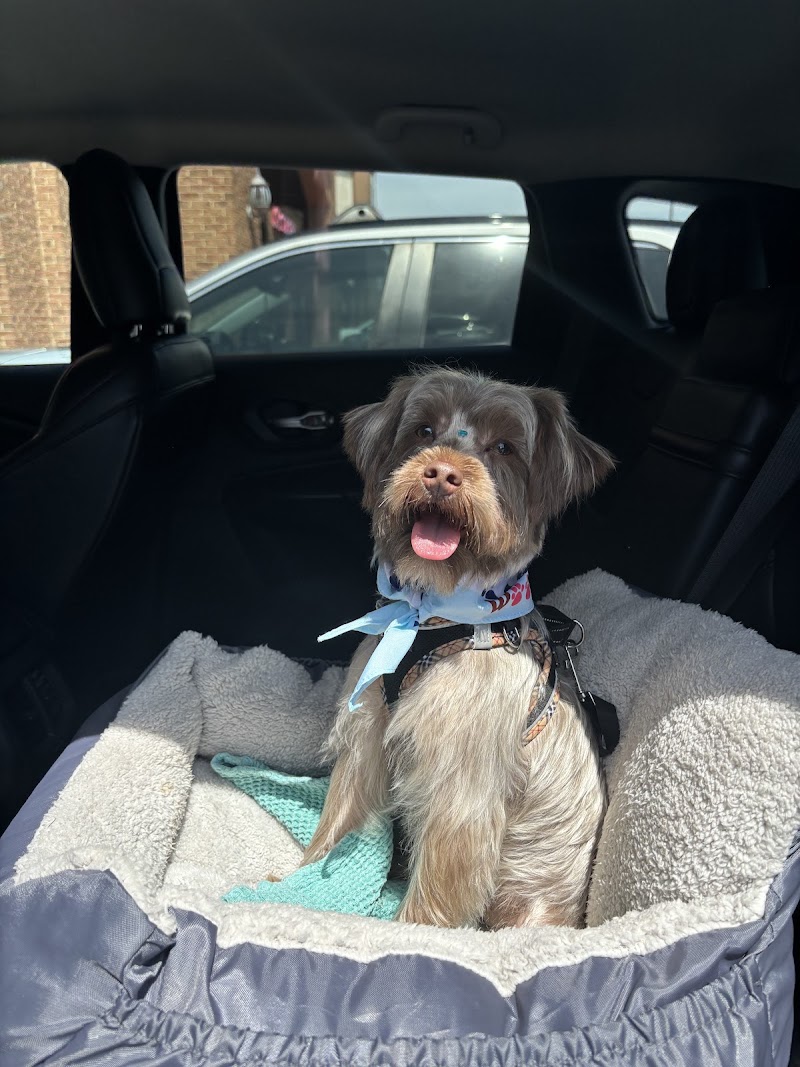 Woof Gang Bakery & Grooming Winston - Salem cover image