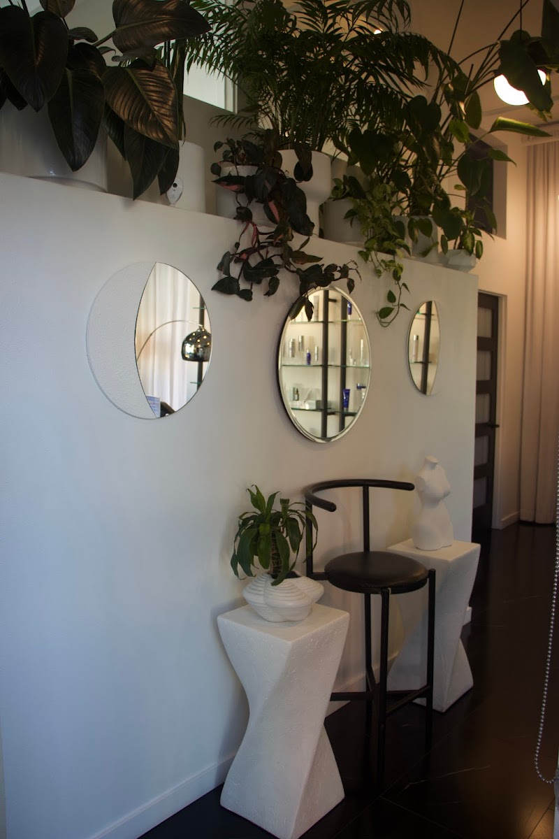 Sapien Skin and Beauty cover image