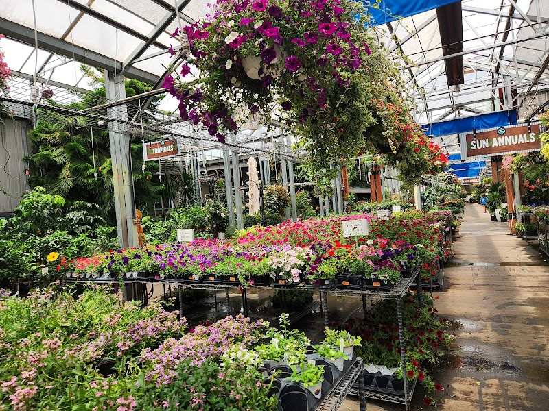 Lanoha Nurseries cover image