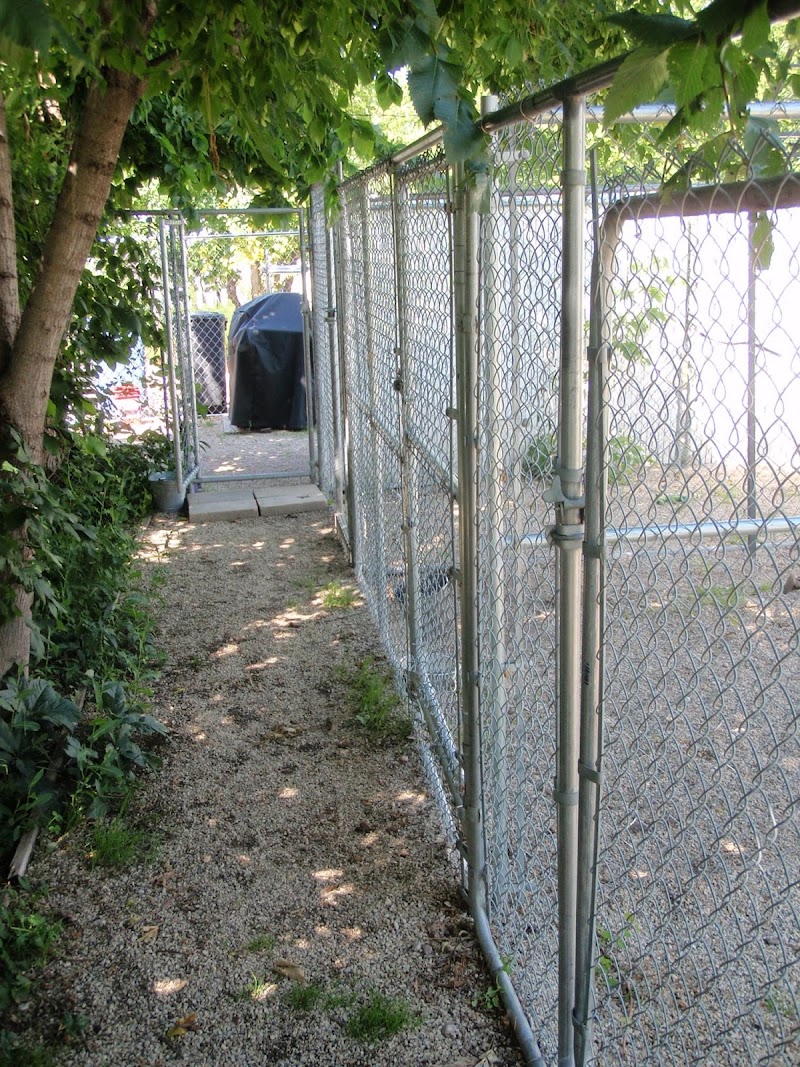 V I P Kennels cover image