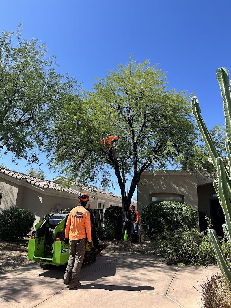 SavATree - Tree Service & Lawn Care cover image