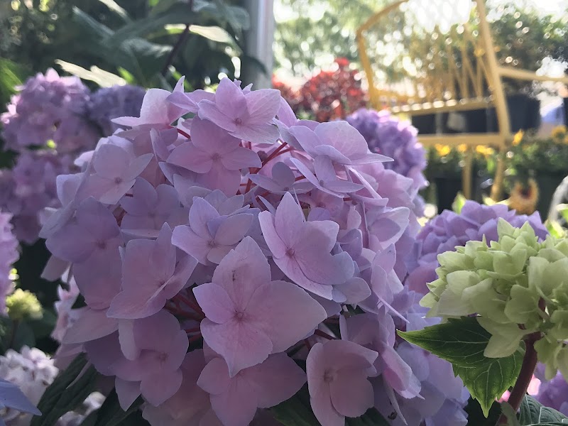 Nature's Corner cover image