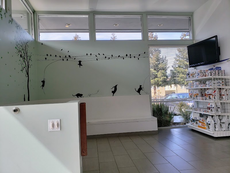 Piedmont Hills Animal Hospital cover image