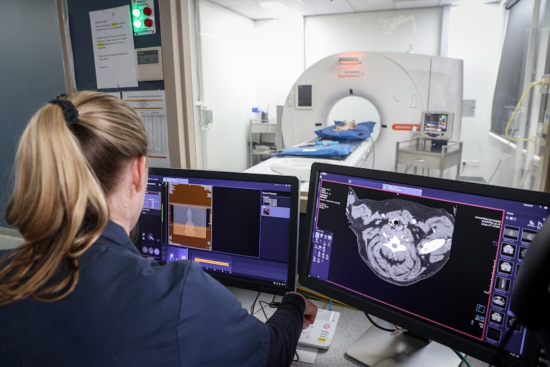 ARH Canberra - 24/7 Emergency, After-Hours & Specialist Vet Hospital cover image