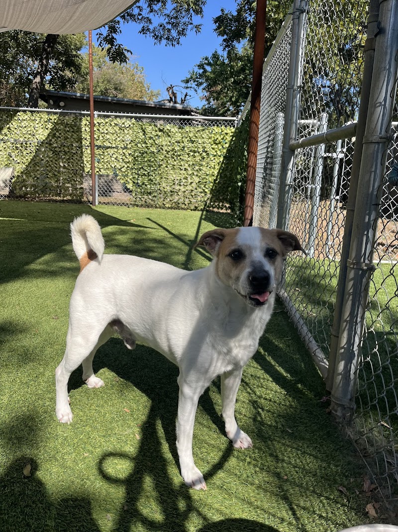 Second Home Boarding, LLC cover image