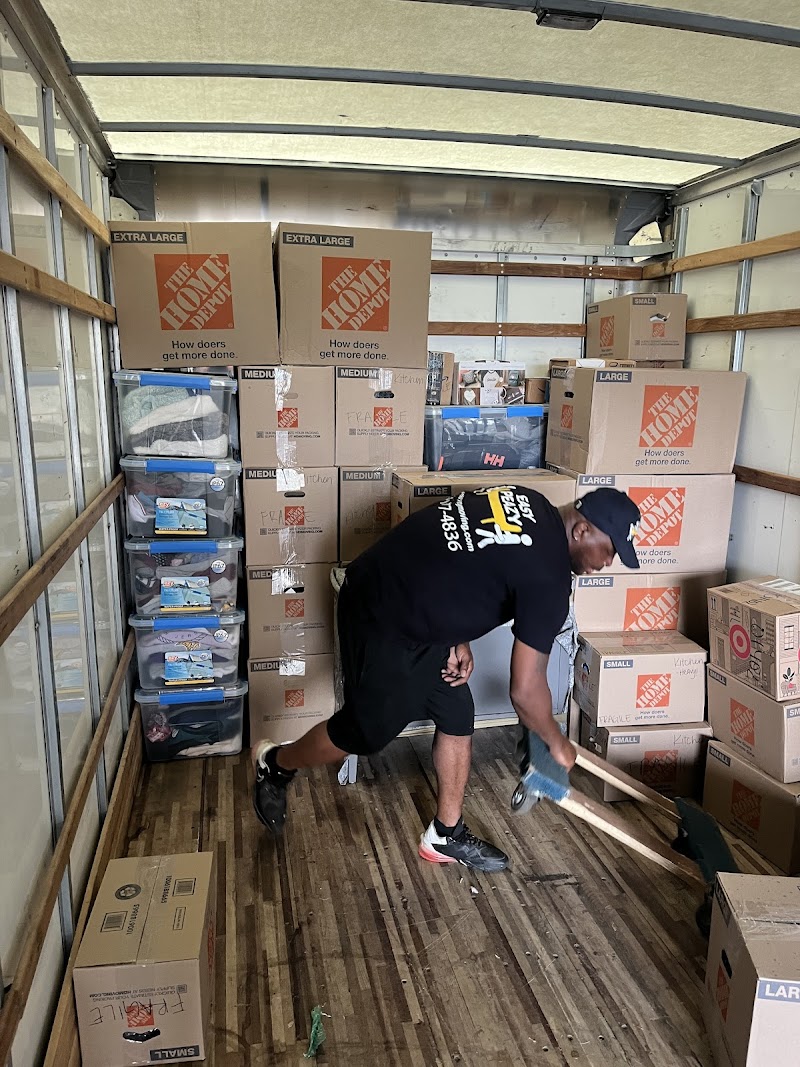 Easy Peazy Moving cover image