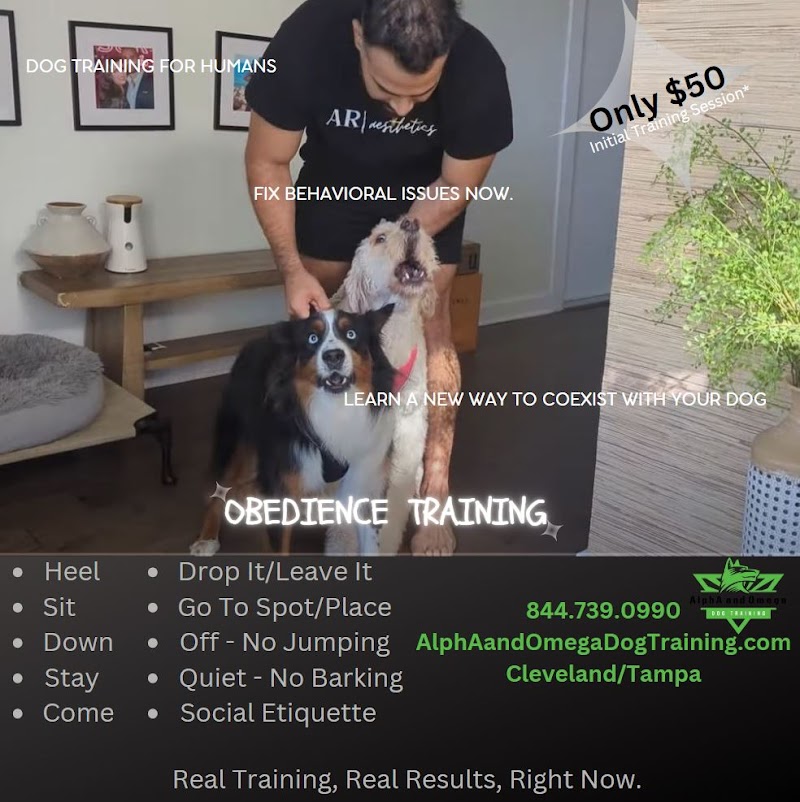 AlphA and Omega Dog Training cover