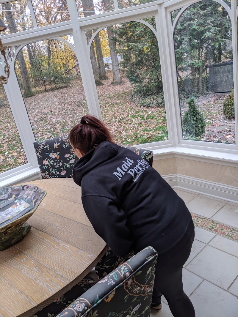 Maid Perfect cover image