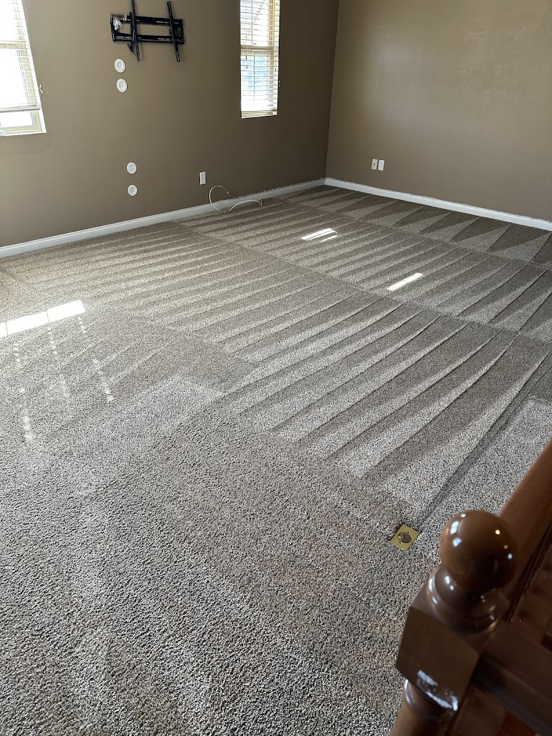 Monster Steamer Carpet Cleaning cover image