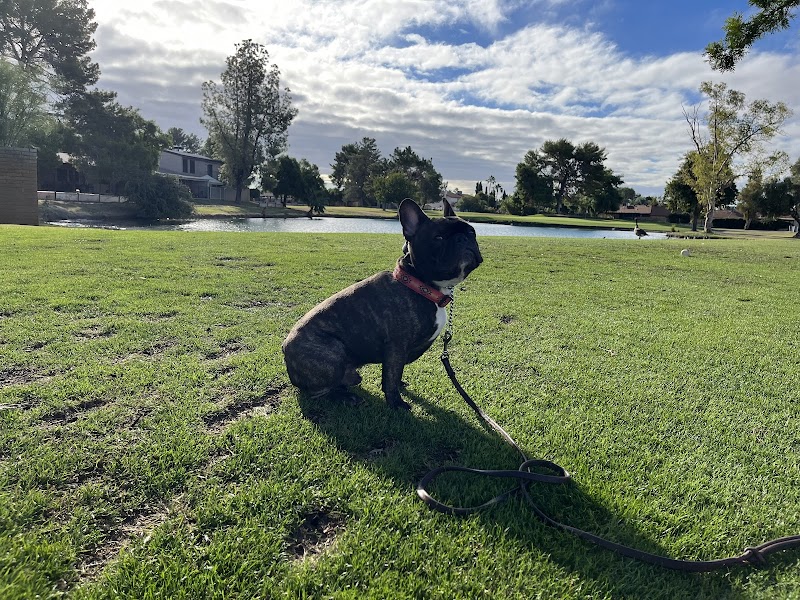 Best By Farr Dog Training cover