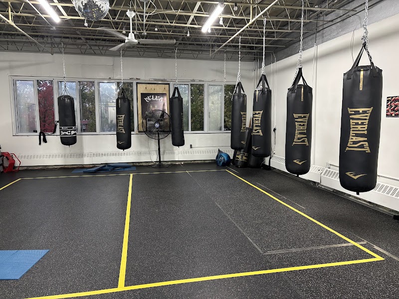 Pelea Boxing Club cover image