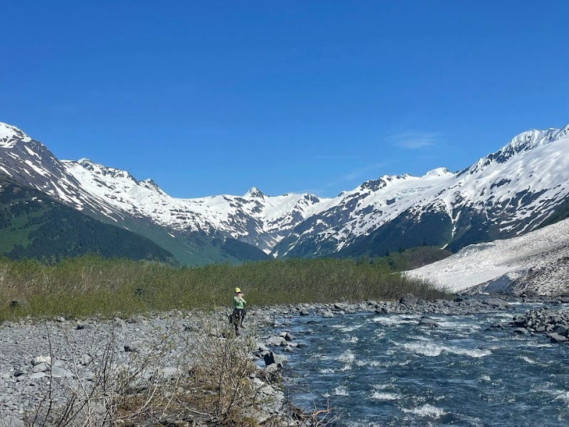 Welcome Anchorage Tours cover image