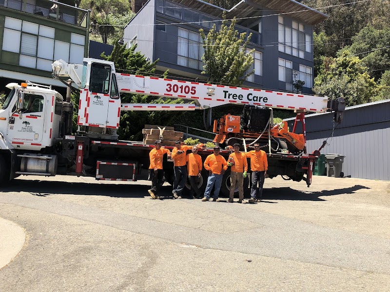 Julian Tree Care cover image