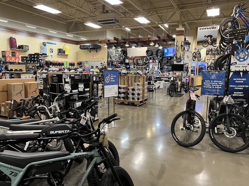 Sun & Ski Sports cover image