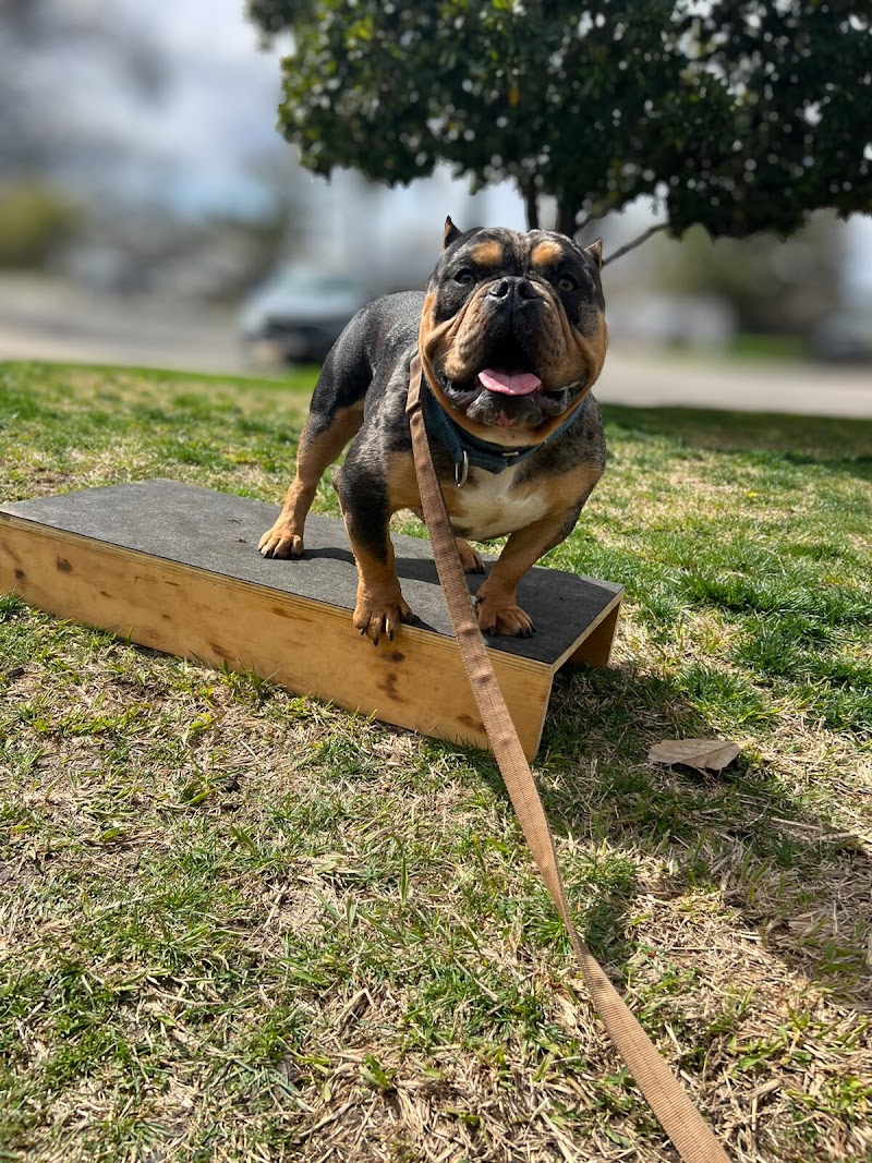 Breakthrough Dog Training cover image