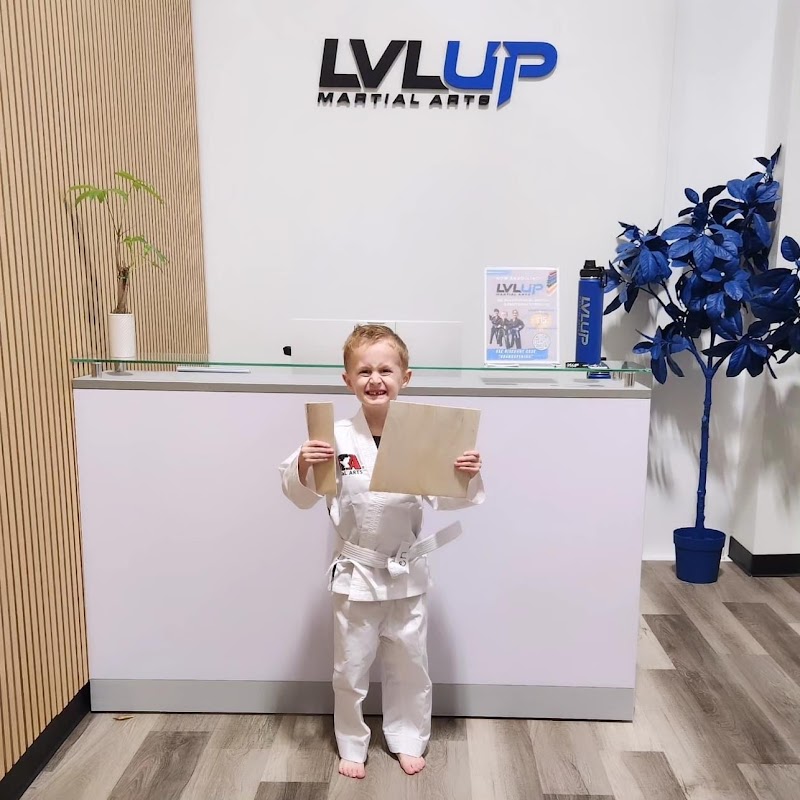 LVLUP Martial Arts - East Madison cover image