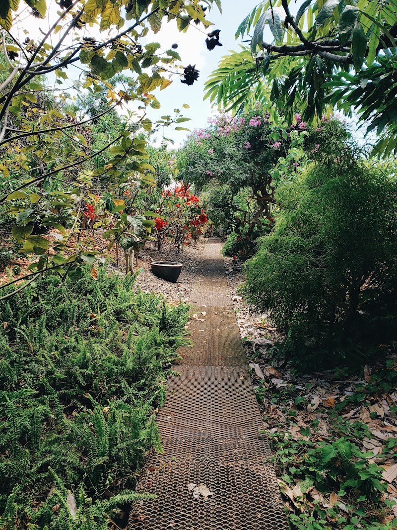 University of Hawaii Urban Garden Center cover image