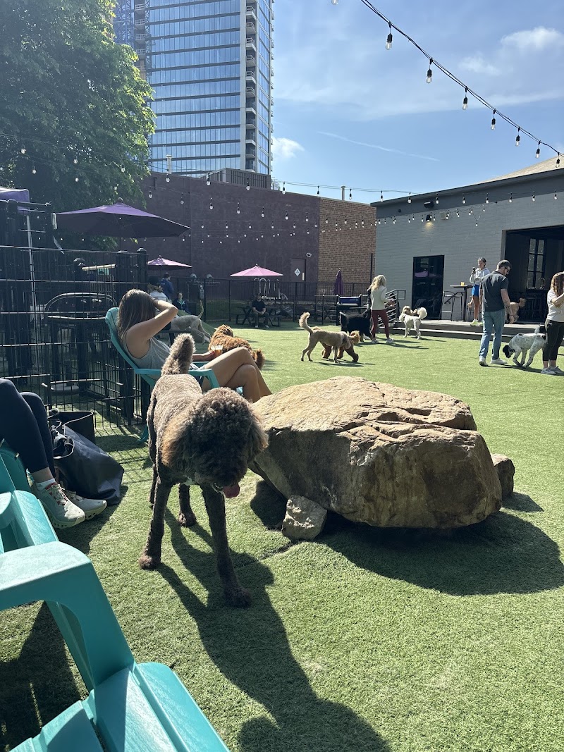 Skiptown cover image