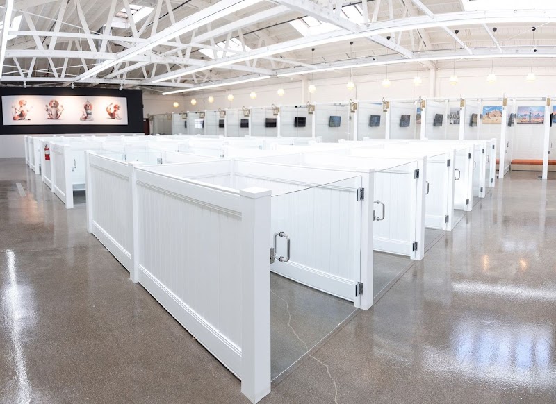 Dog Resort Glendale cover image