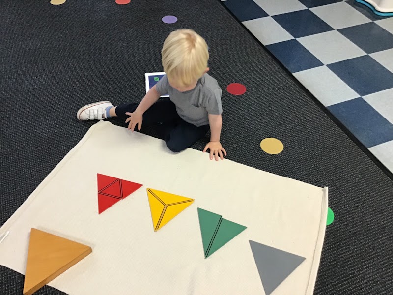 Montessori School of San Diego cover image