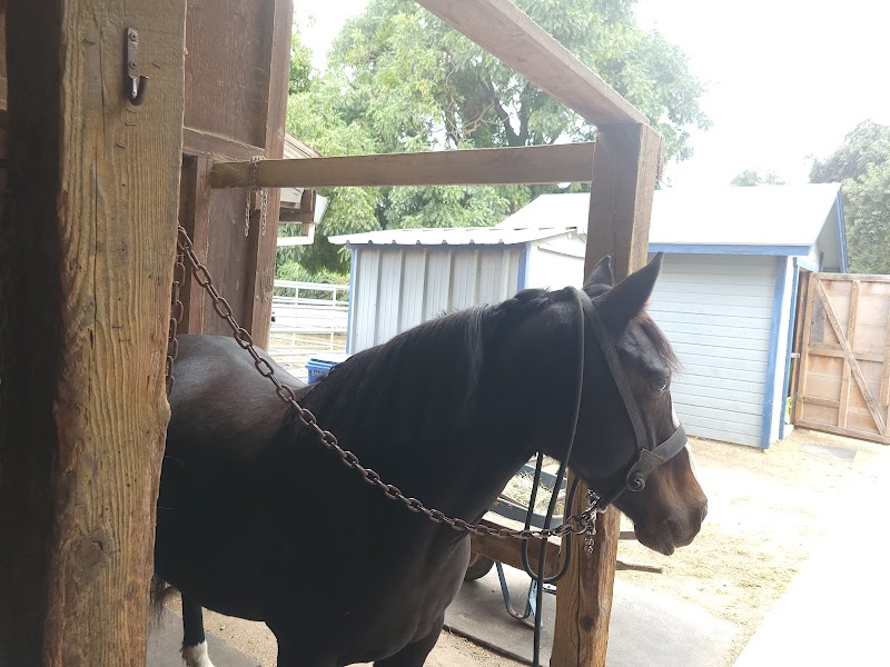 Beach Lake Stables cover image