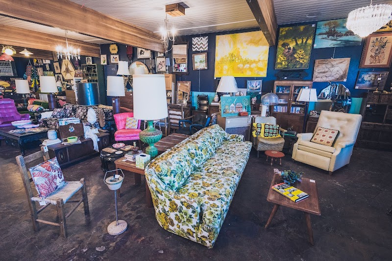 The Nest cover image