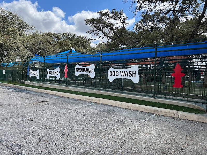 Lucy's Doggy Daycare and Spa cover image