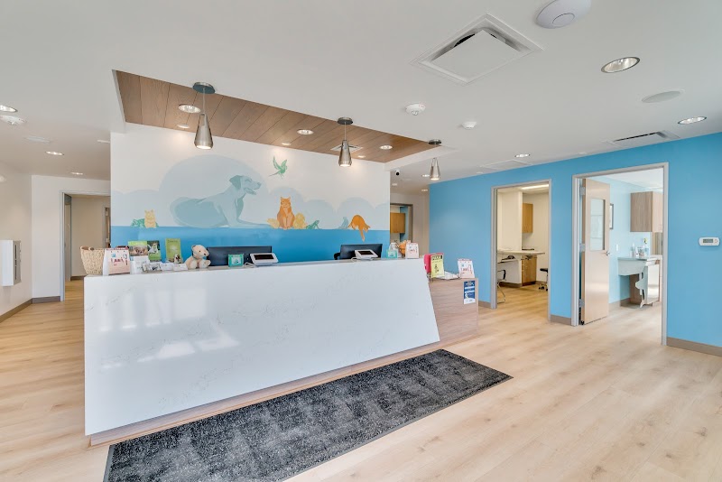 VetCare Animal Hospital cover image