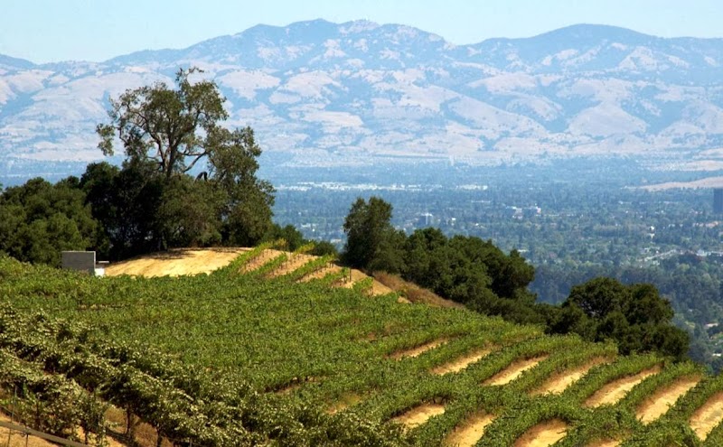 Cooper-Garrod Vineyards at Garrod Farms cover image
