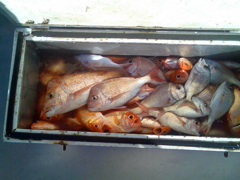 B and L Fishing and Cruises p/l cover image