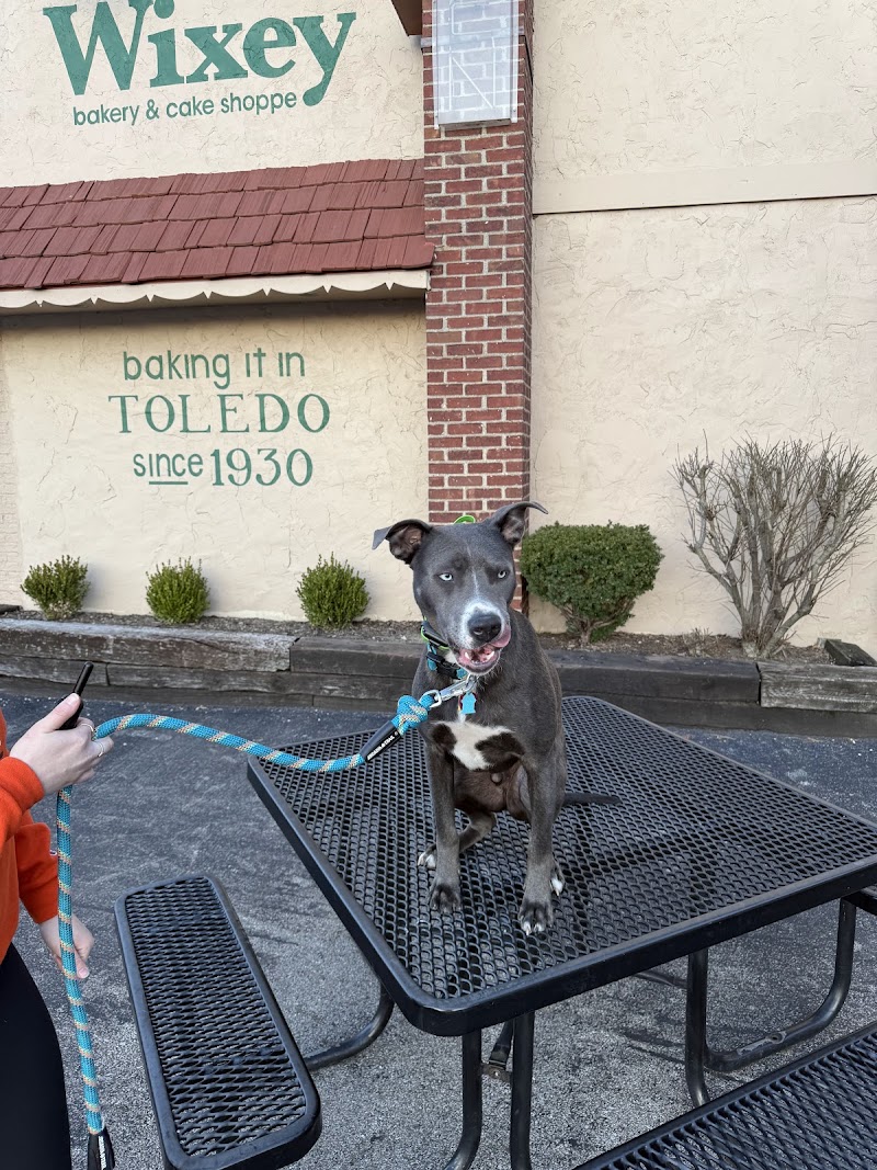 Alpha K9 Connections cover image