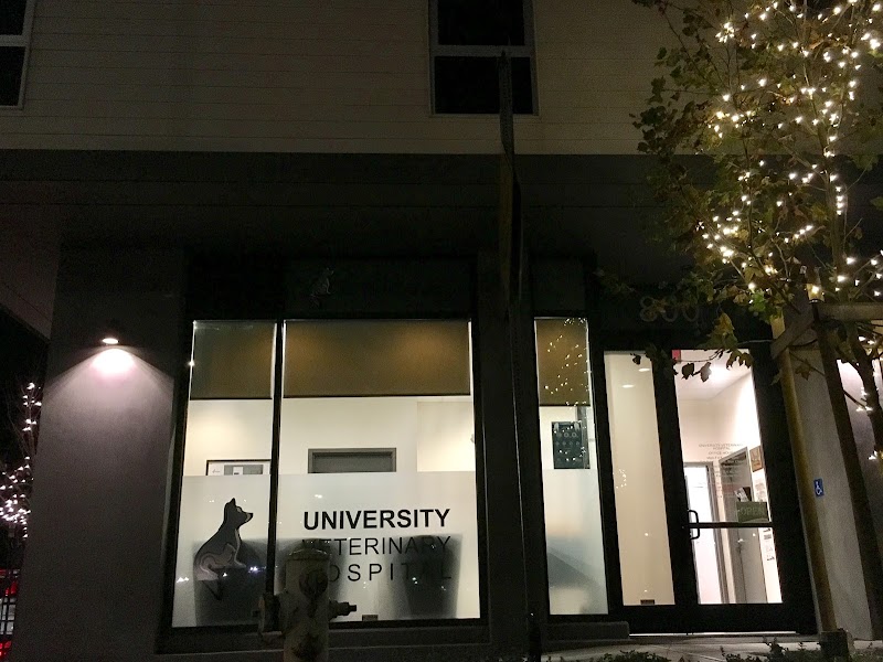 University Vet Hospital cover image