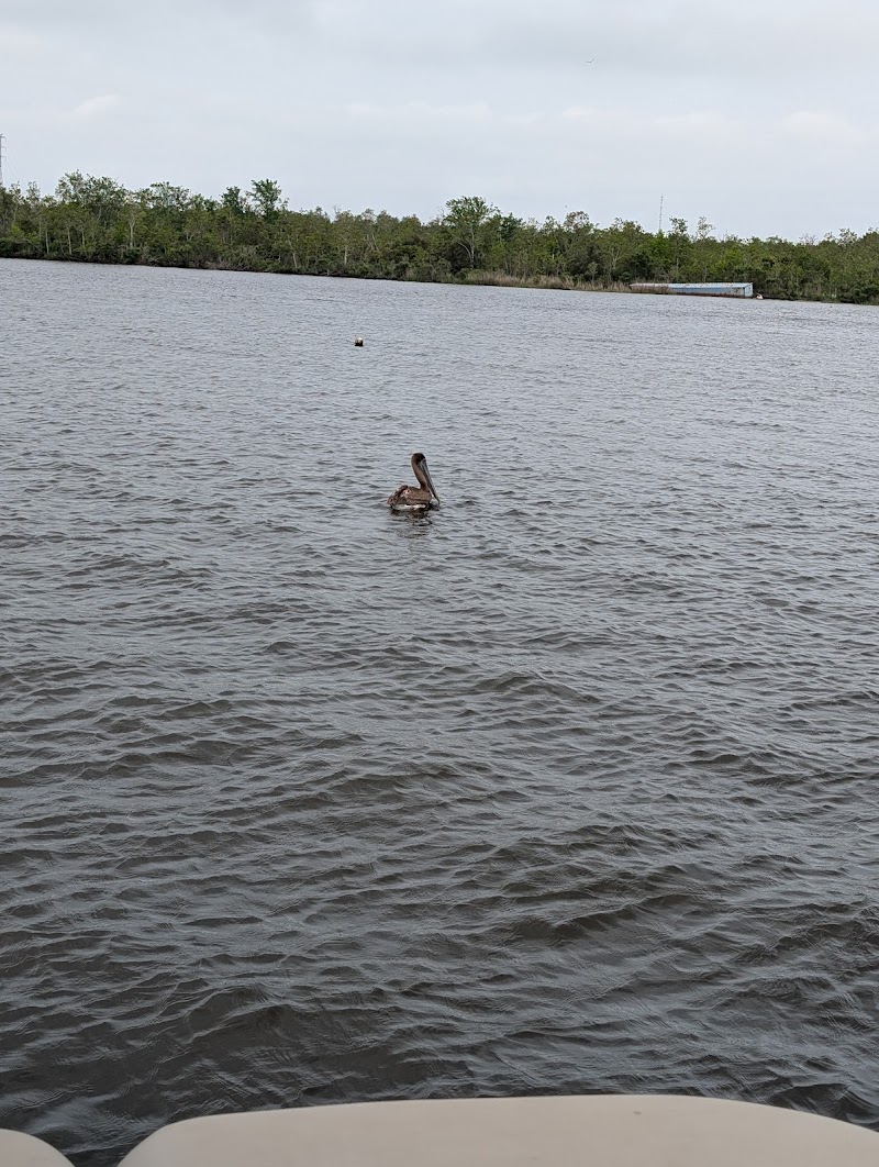 Nola Party Barge - Swamp Tour Party Boat cover image