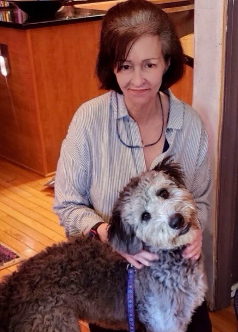 Canine Obedience Training at Hunt Club cover image