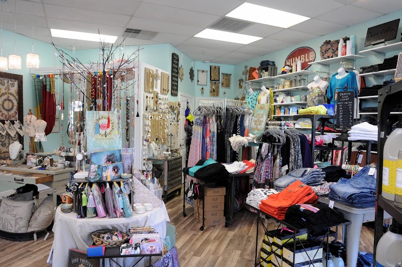 3 Sassy Chicks cover image