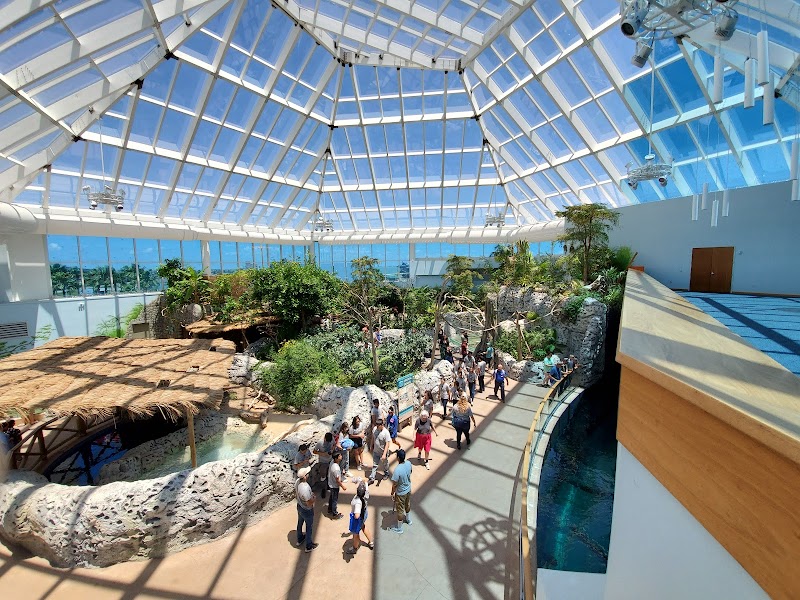 Texas State Aquarium cover image