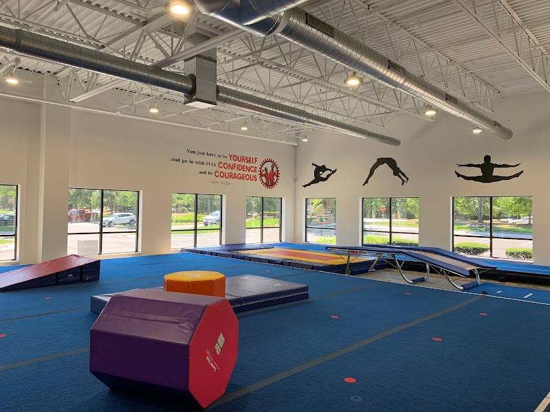 Motor City Dance Factory cover image