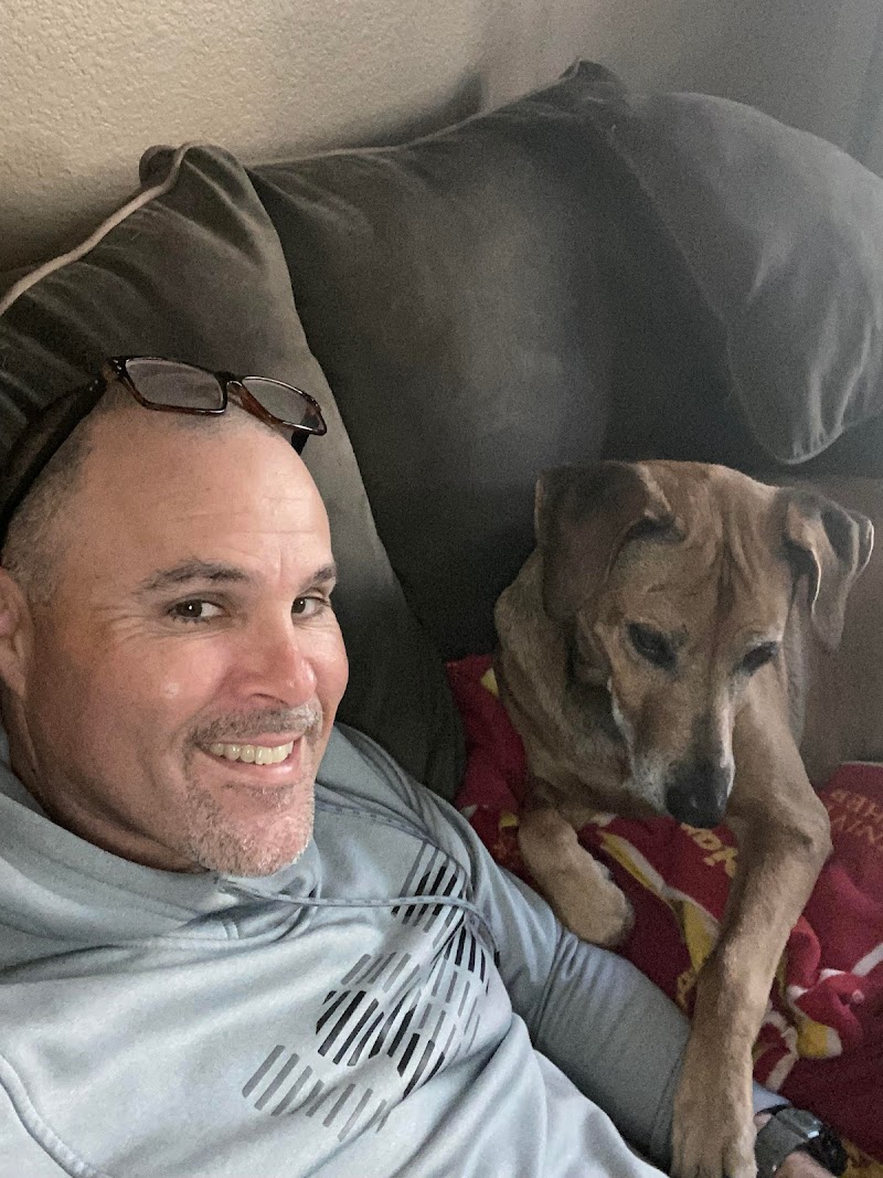 HowiePets dogwalking, petsitting, boarding. cover image