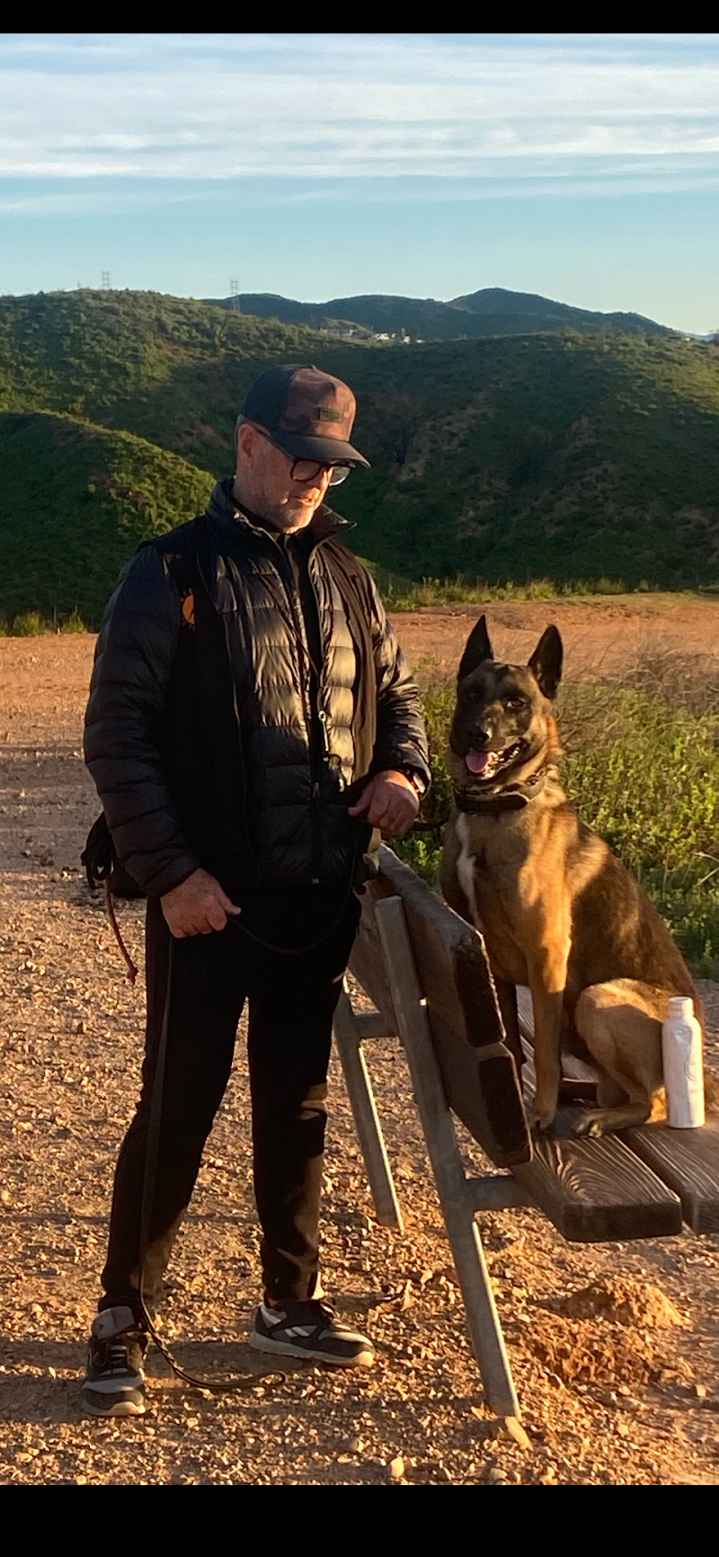 Webster's Dog Training cover image