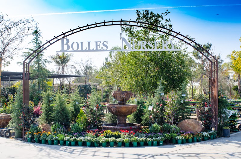 Bolles Nursery cover image